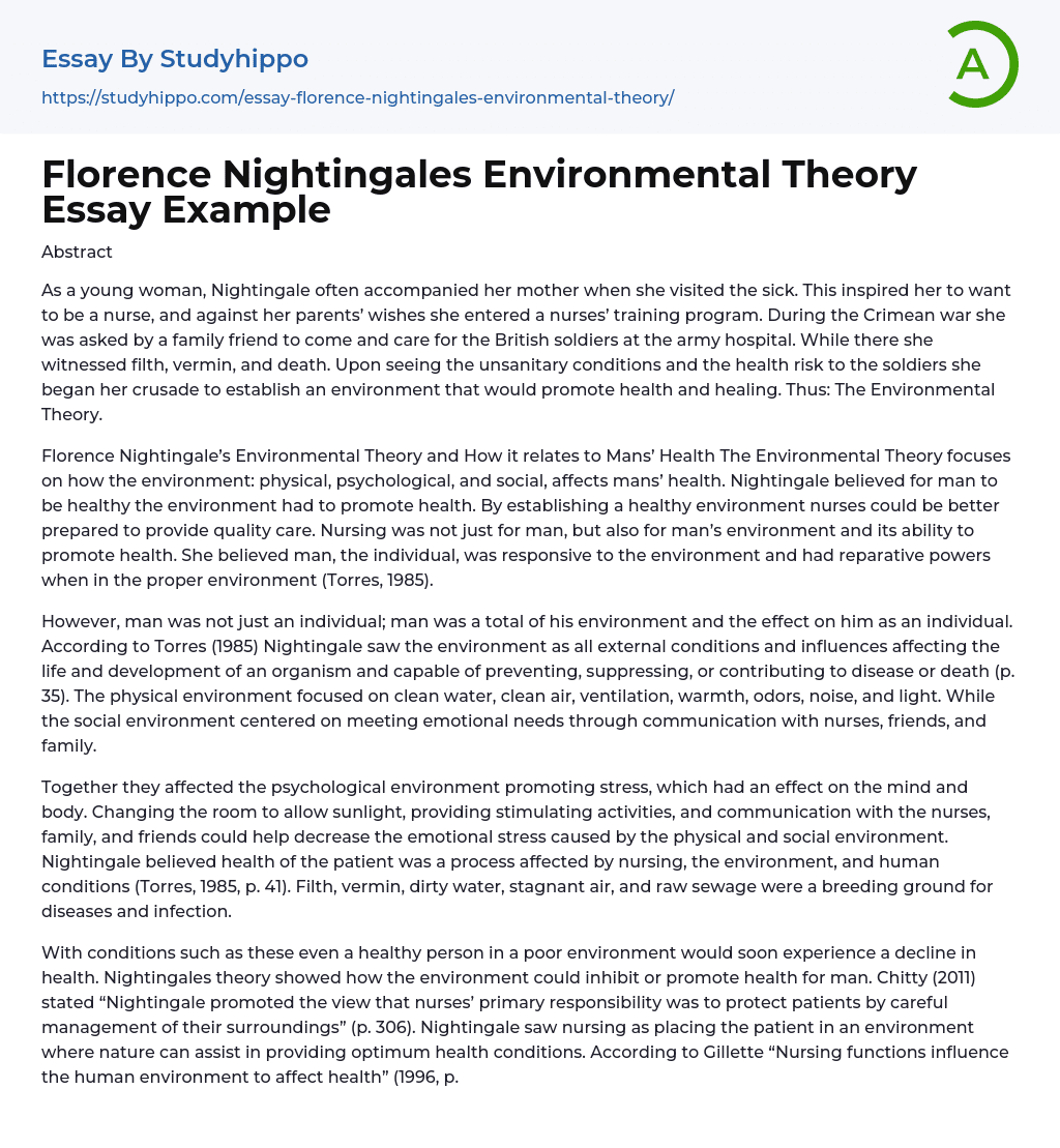 Florence Nightingales Environmental Theory Essay Example