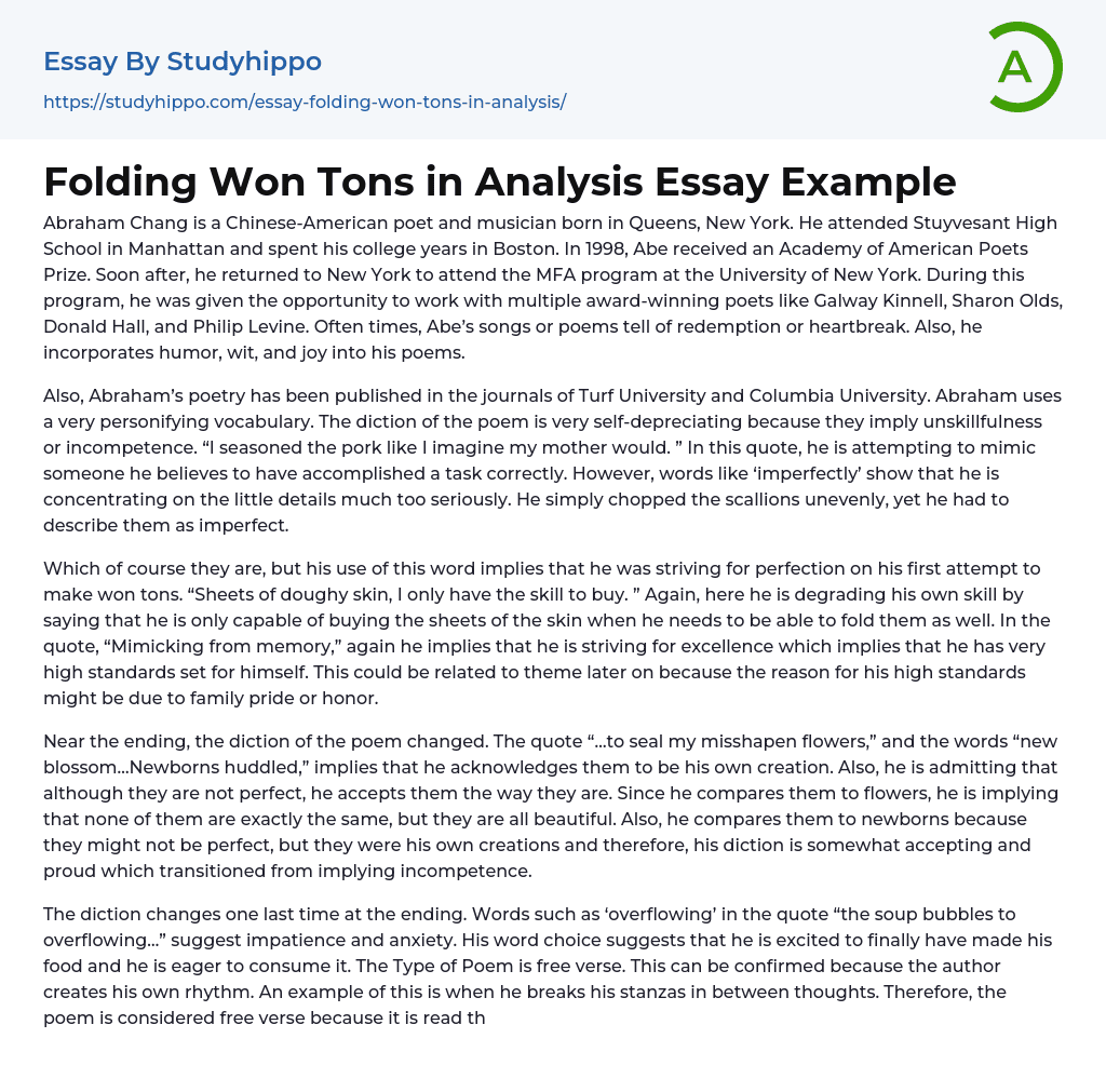 Folding Won Tons in Analysis Essay Example