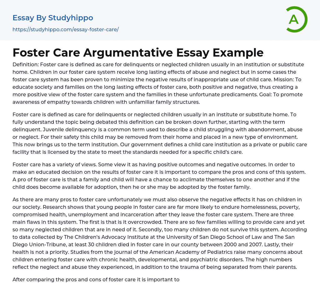 Foster Care Argumentative Essay Example
