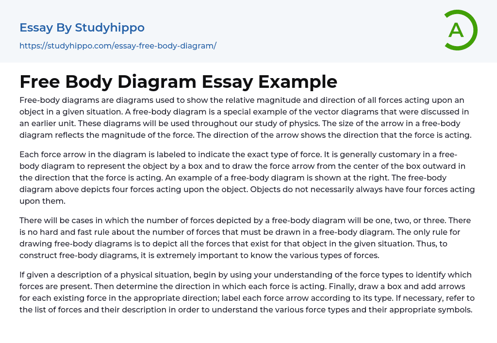 Free Body Diagram Essay Example