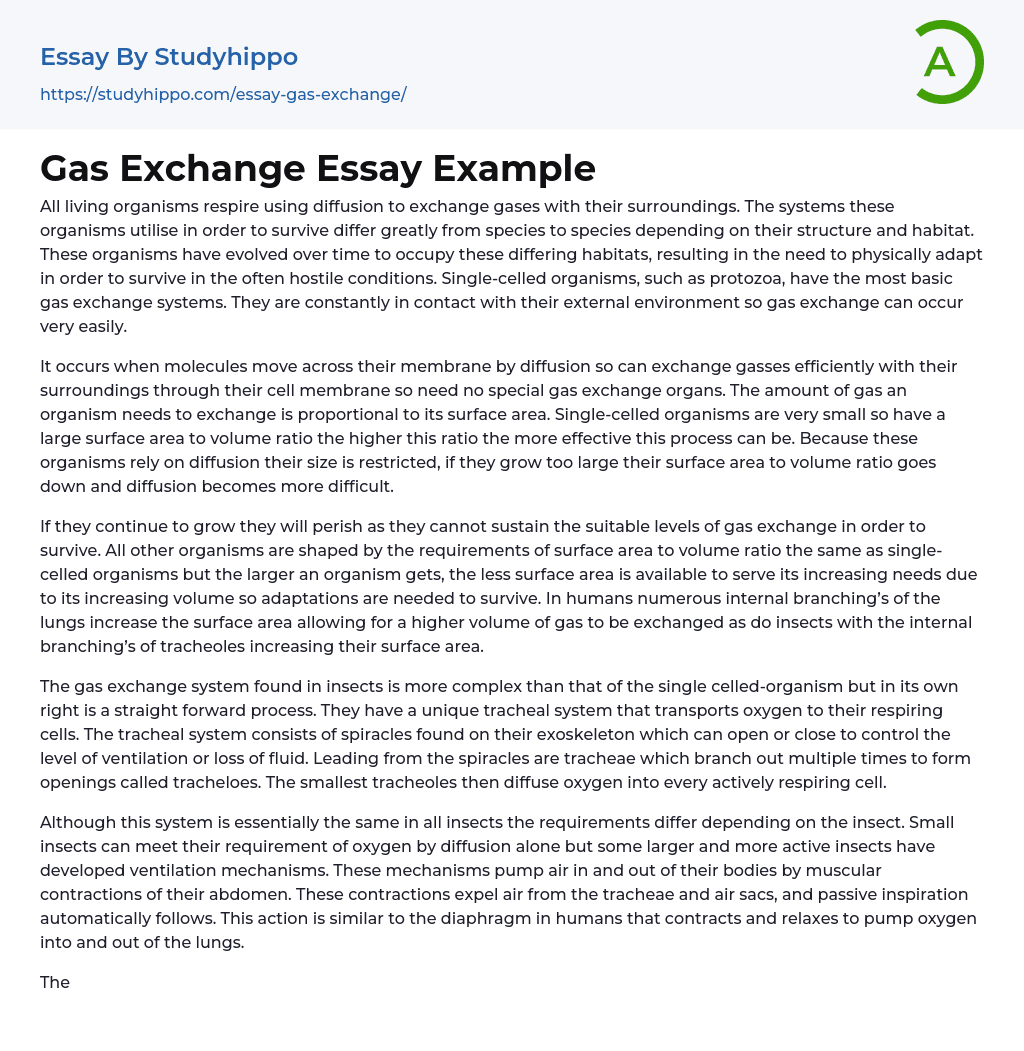essay on exchange of gases