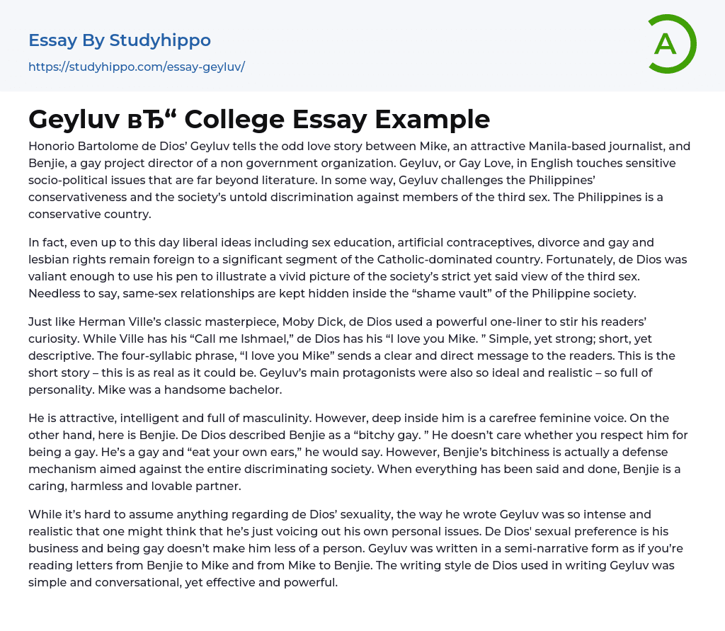 Geyluv College Essay Example