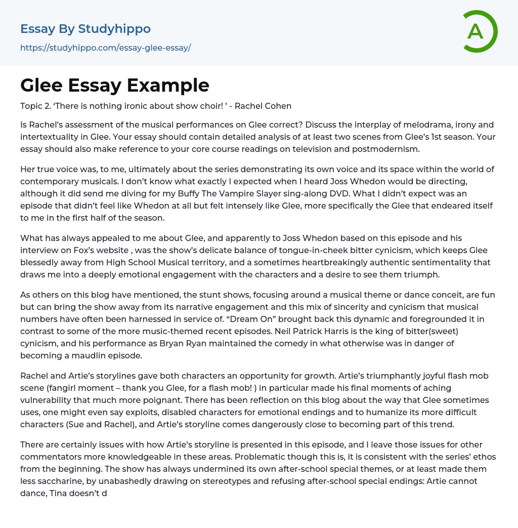 Glee Essay Example