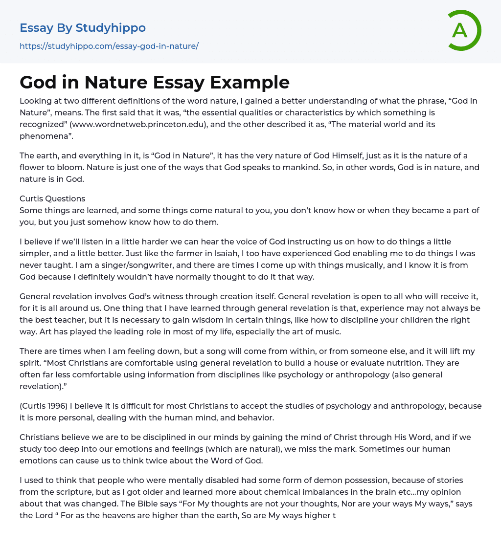 What the Phrase “God in Nature” Means? Essay Example