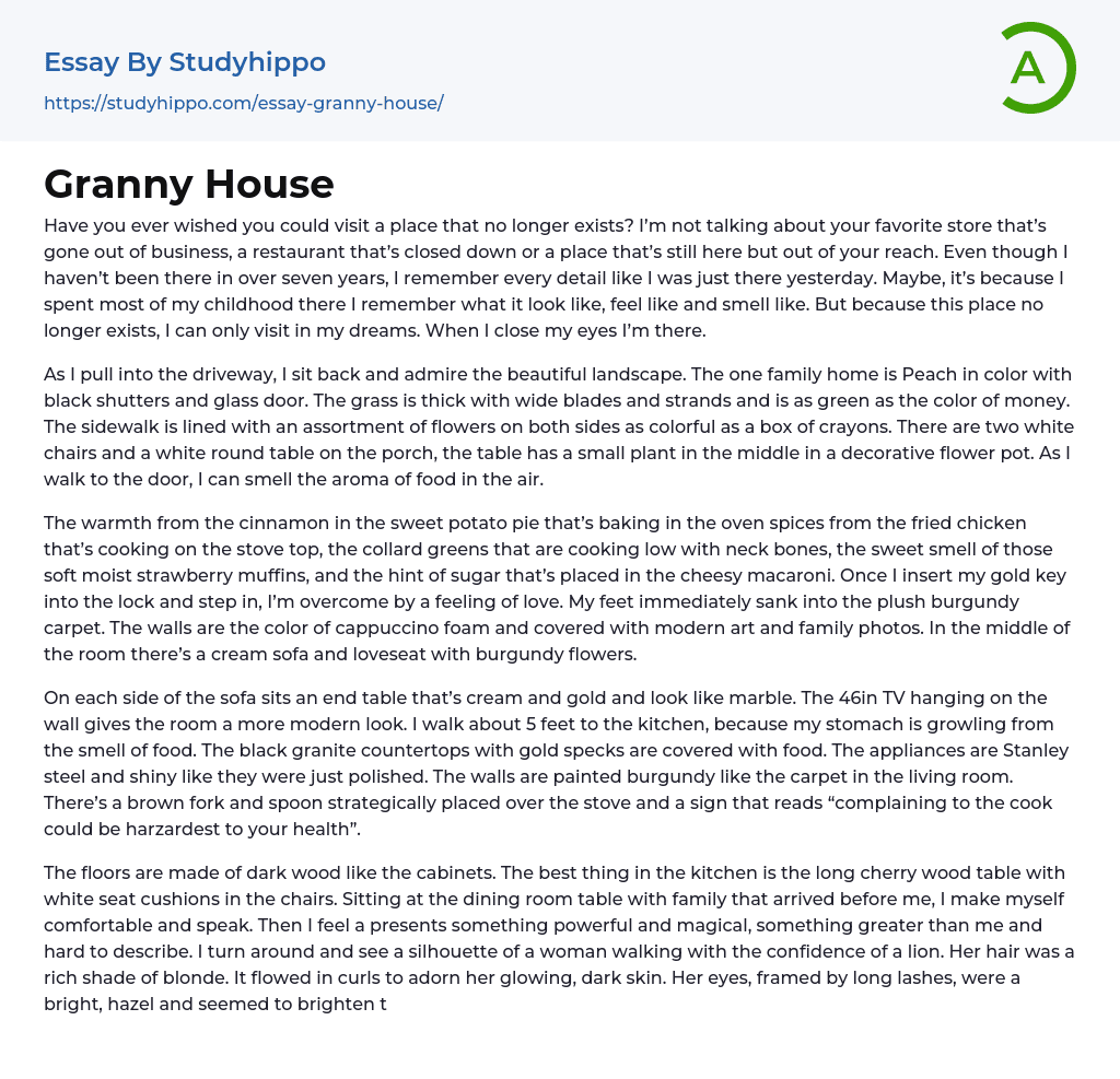 Granny House Essay Example
