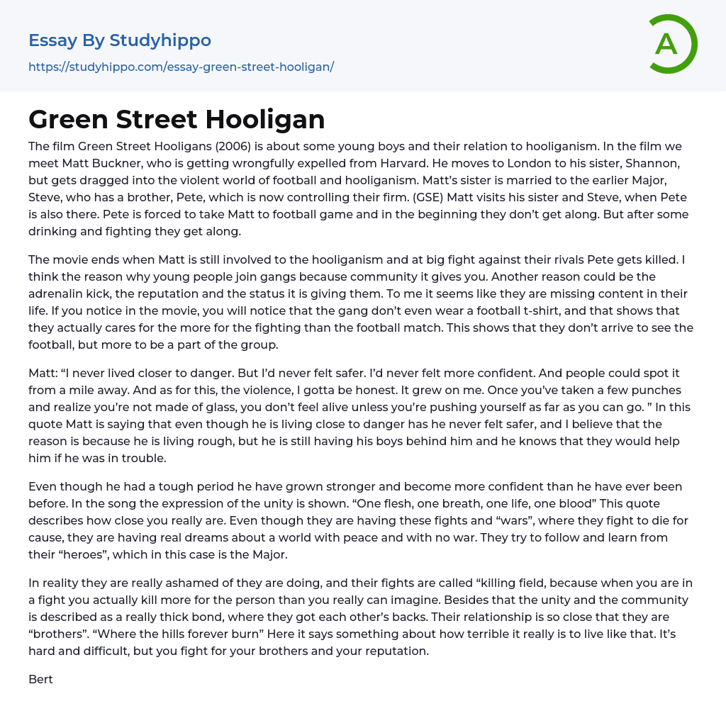 Green Street Hooligan Essay Example