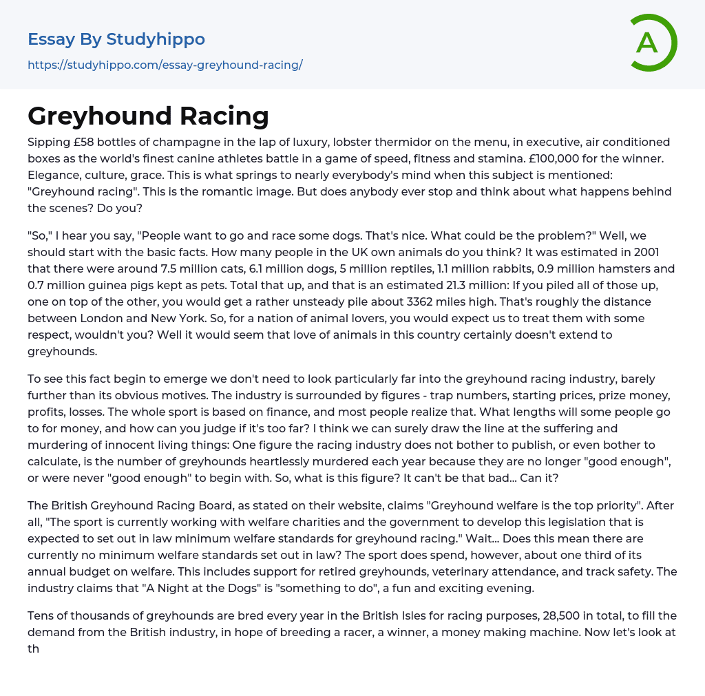 Greyhound Racing Essay Example