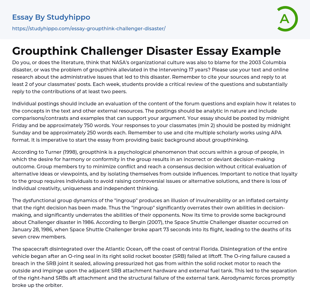 Groupthink Challenger Disaster Essay Example