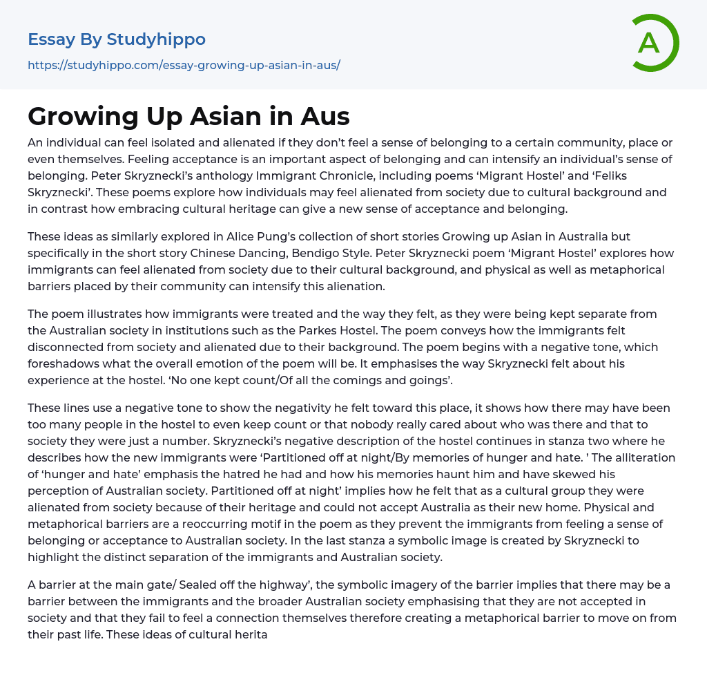 Growing Up Asian in Aus Essay Example