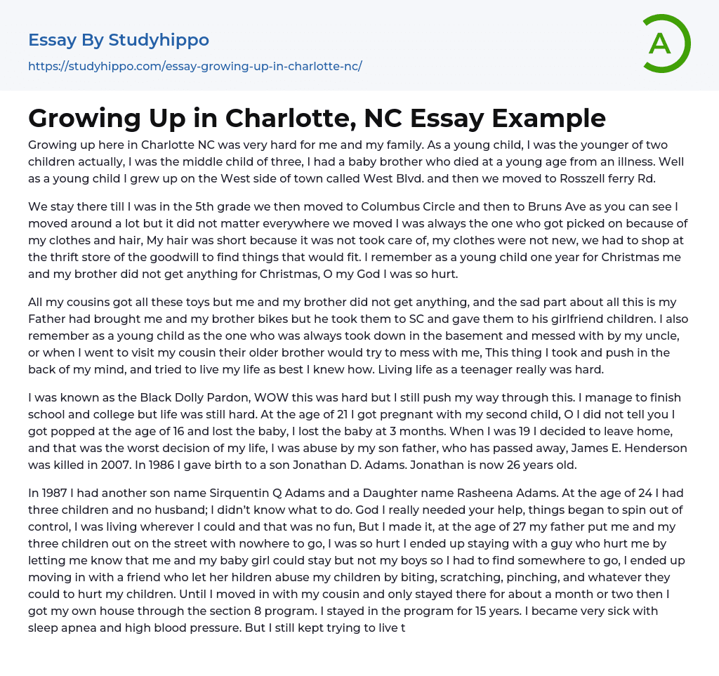 Growing Up in Charlotte, NC Essay Example