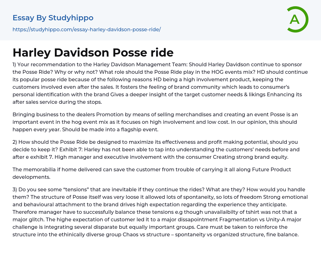 Harley Davidson Posse ride Essay Example