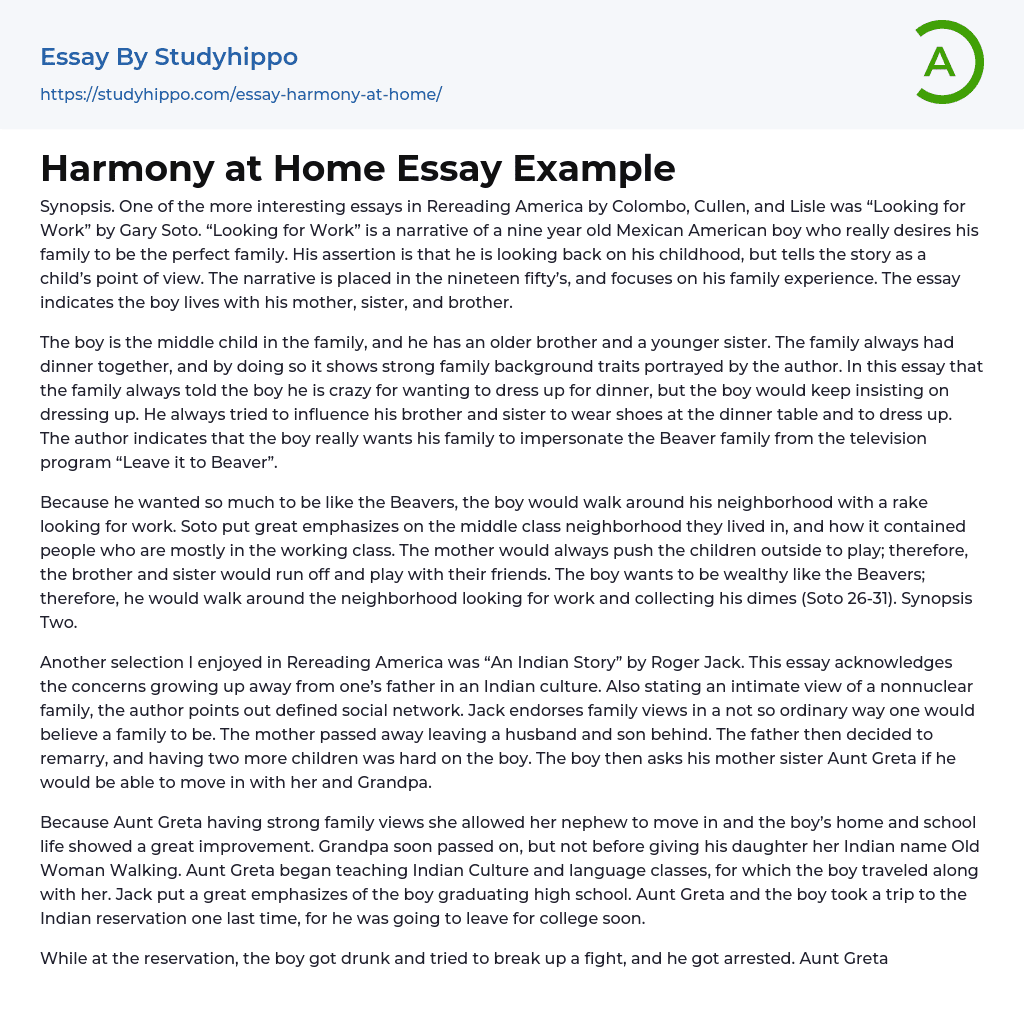 Harmony at Home Essay Example
