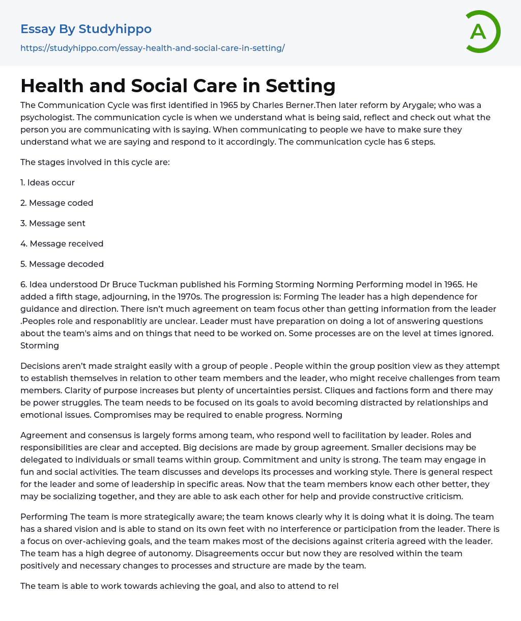 Health and Social Care in Setting Essay Example
