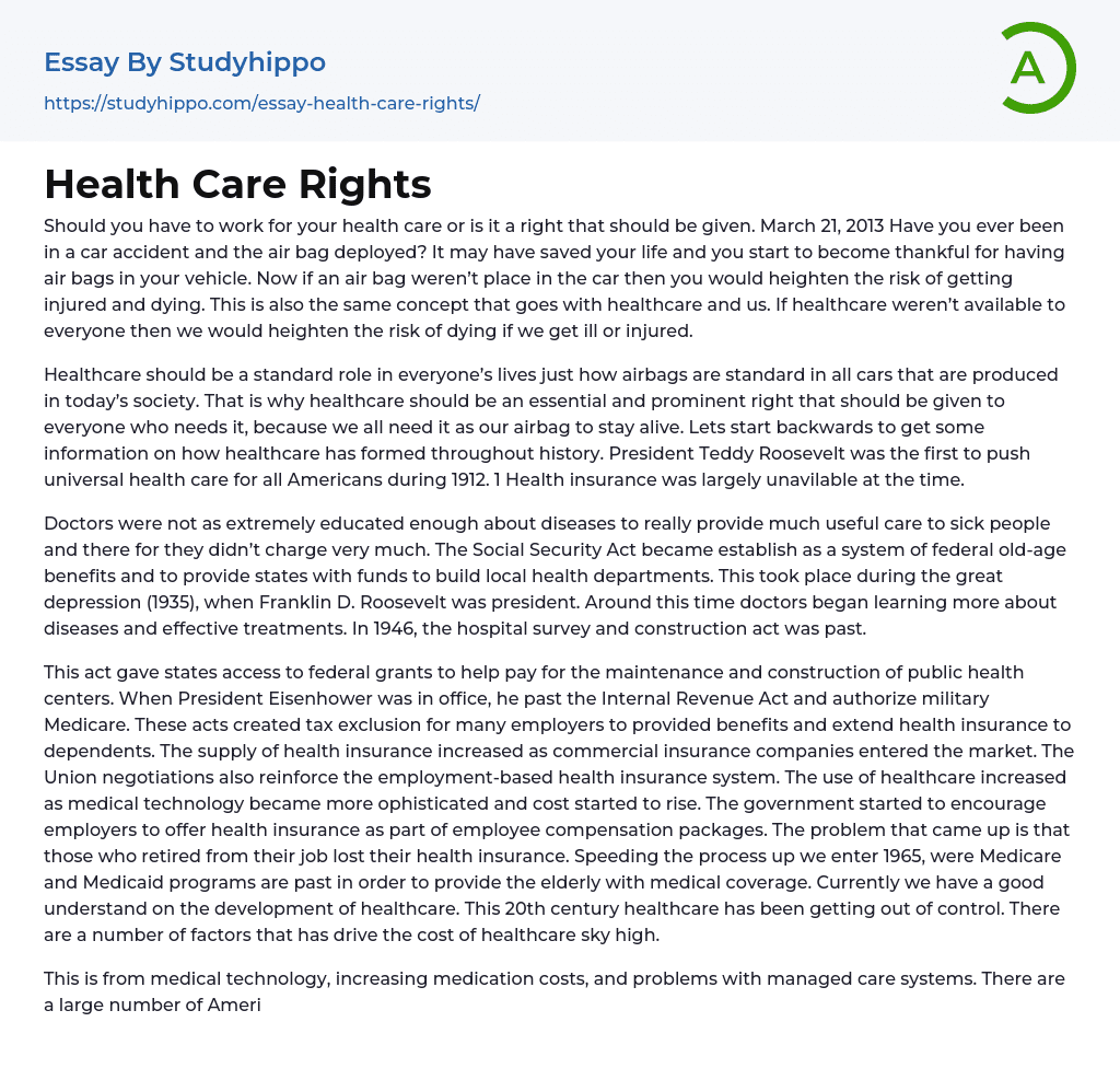Health Care Rights Essay Example