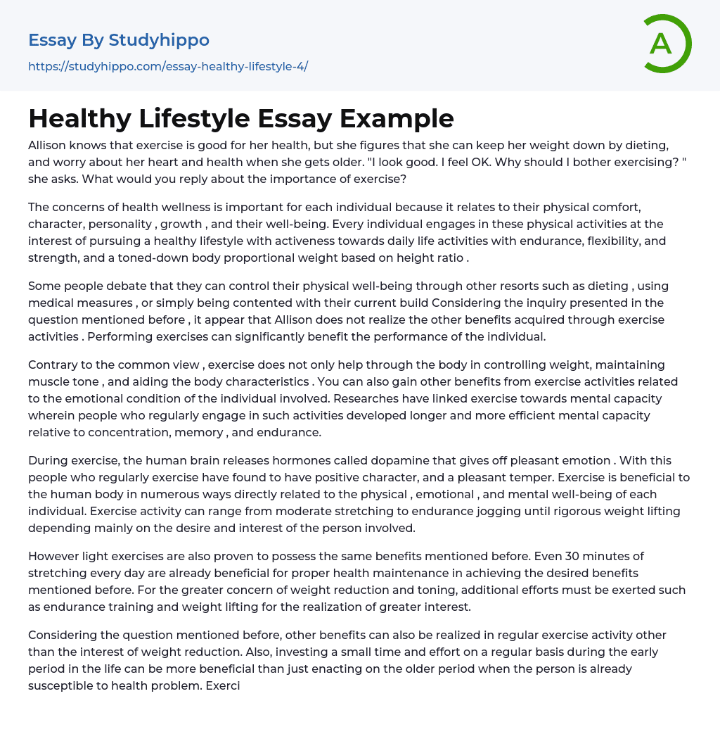 Healthy Lifestyle Essay Example StudyHippo