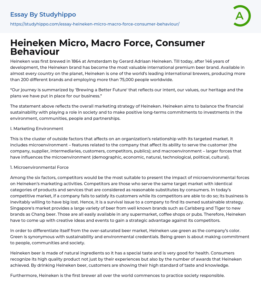 Heineken Micro, Macro Force, Consumer Behaviour Essay Example