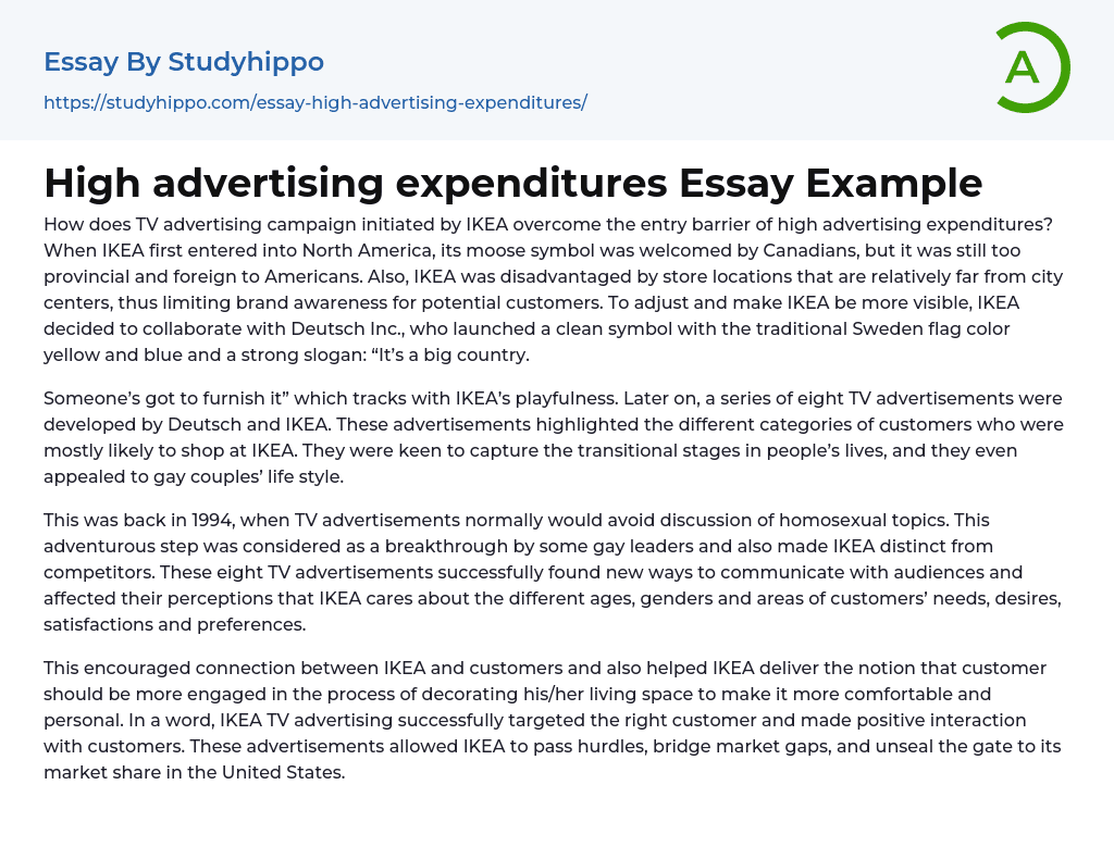 High advertising expenditures Essay Example