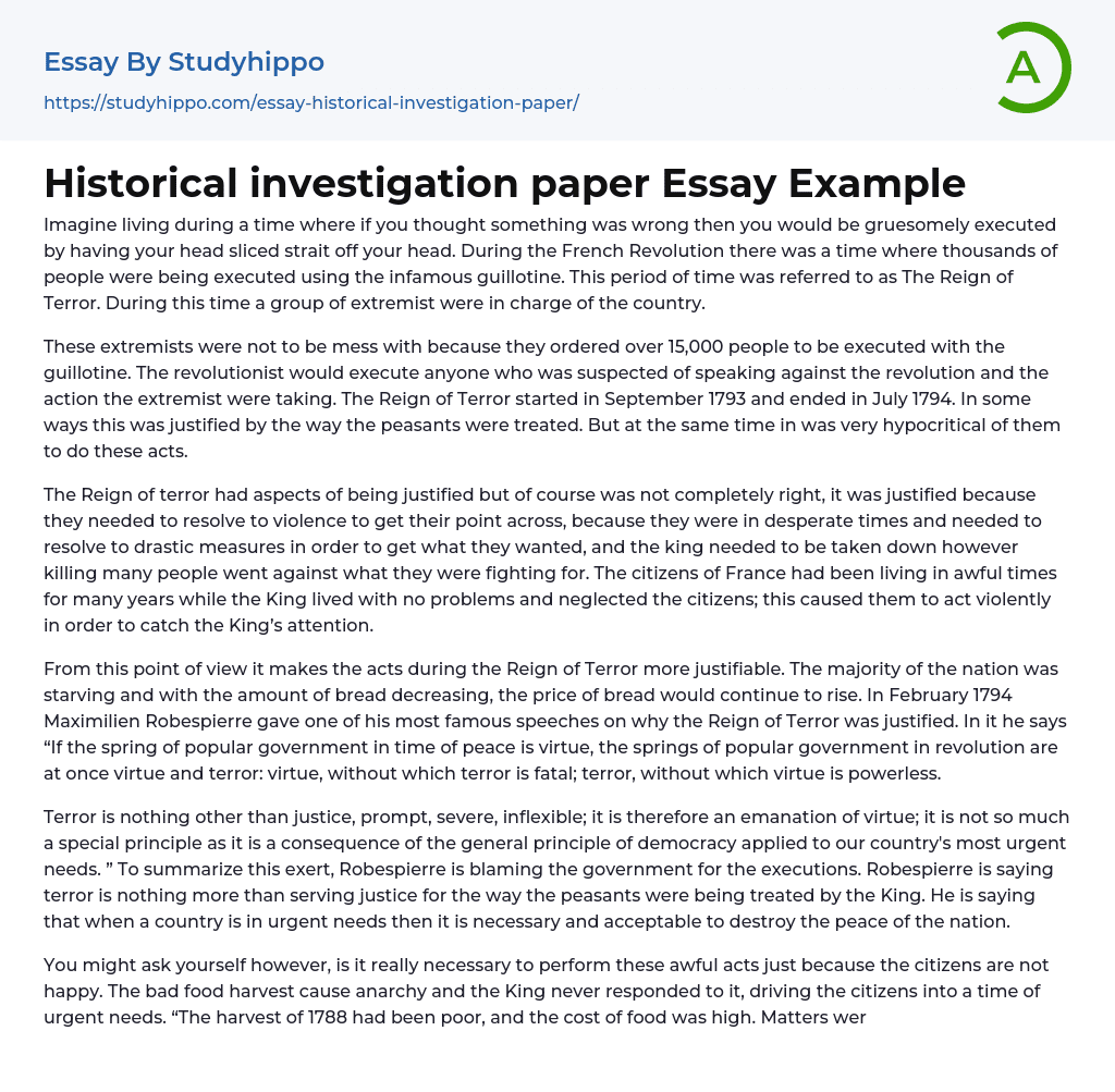Historical investigation paper Essay Example