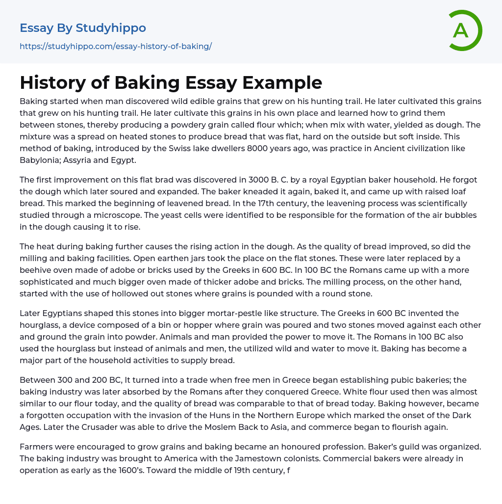 essay about hobby baking