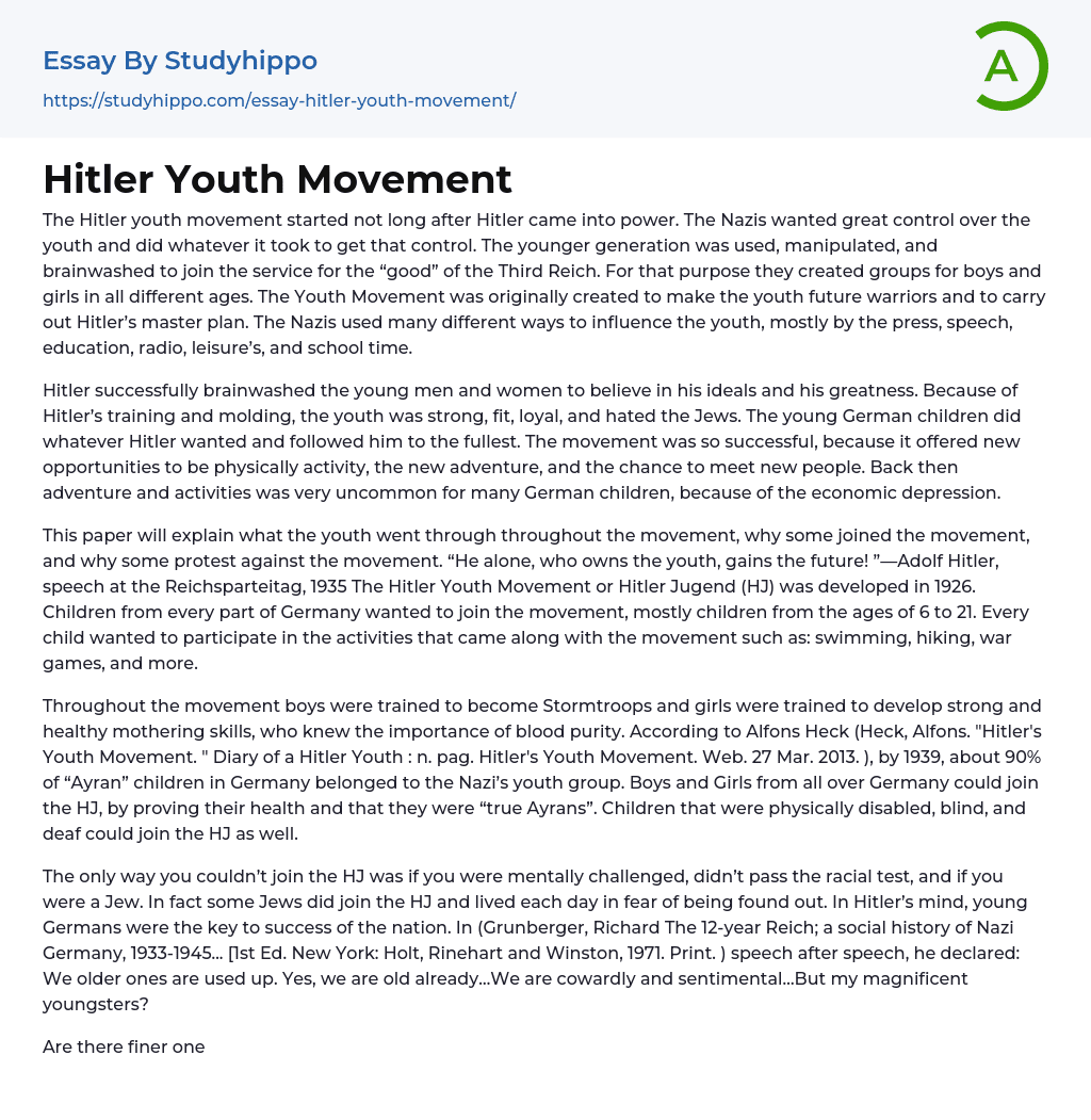 Hitler Youth Movement Essay Example