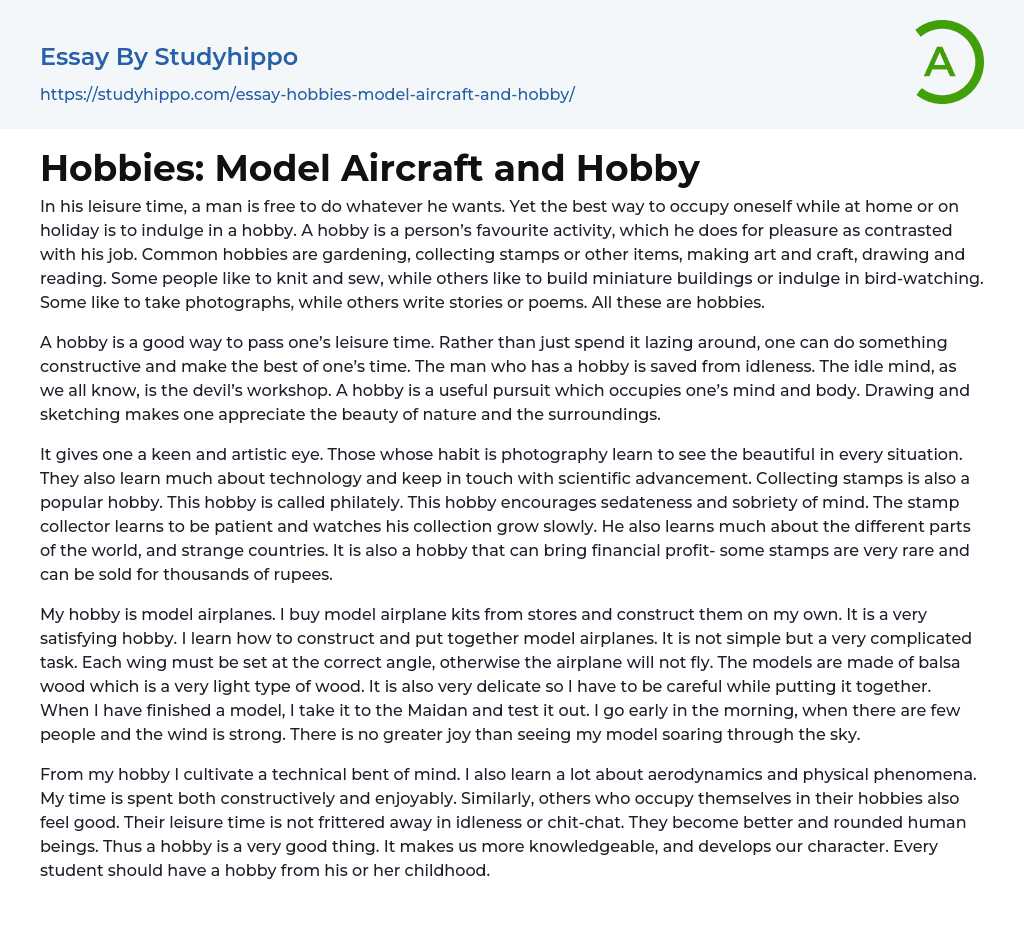 Hobbies: Model Aircraft and Hobby Essay Example