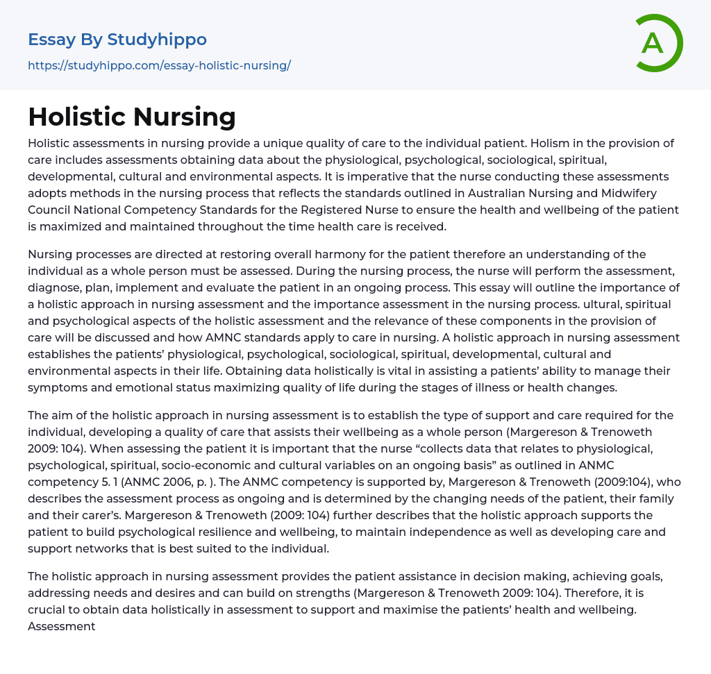 Holistic Nursing Essay Example