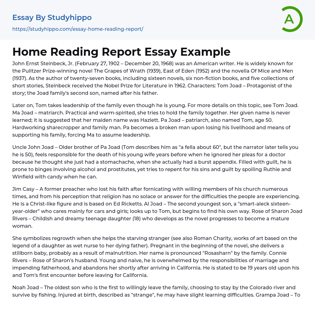 Home Reading Report Essay Example