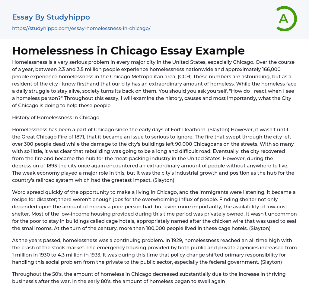 Homelessness in Chicago Essay Example