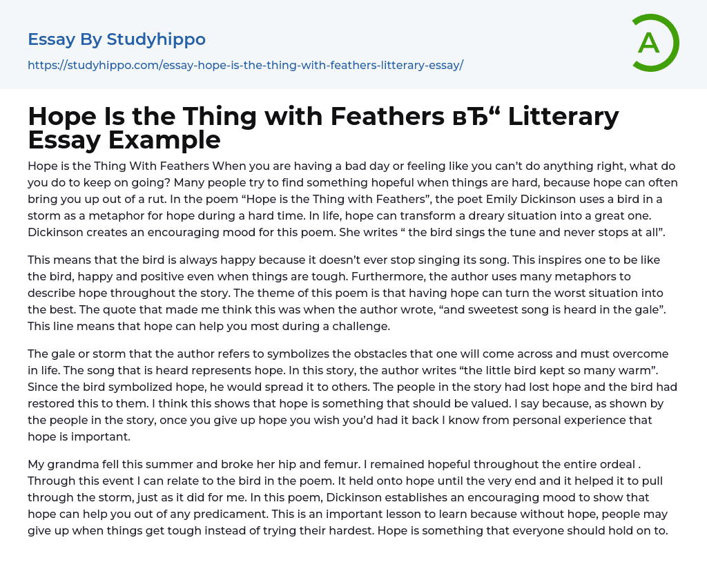 Hope Is the Thing with Feathers Litterary Essay Example