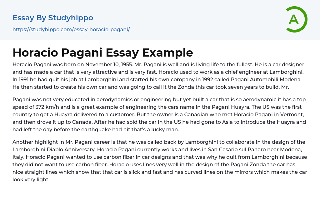 Horacio Pagani Essay Example