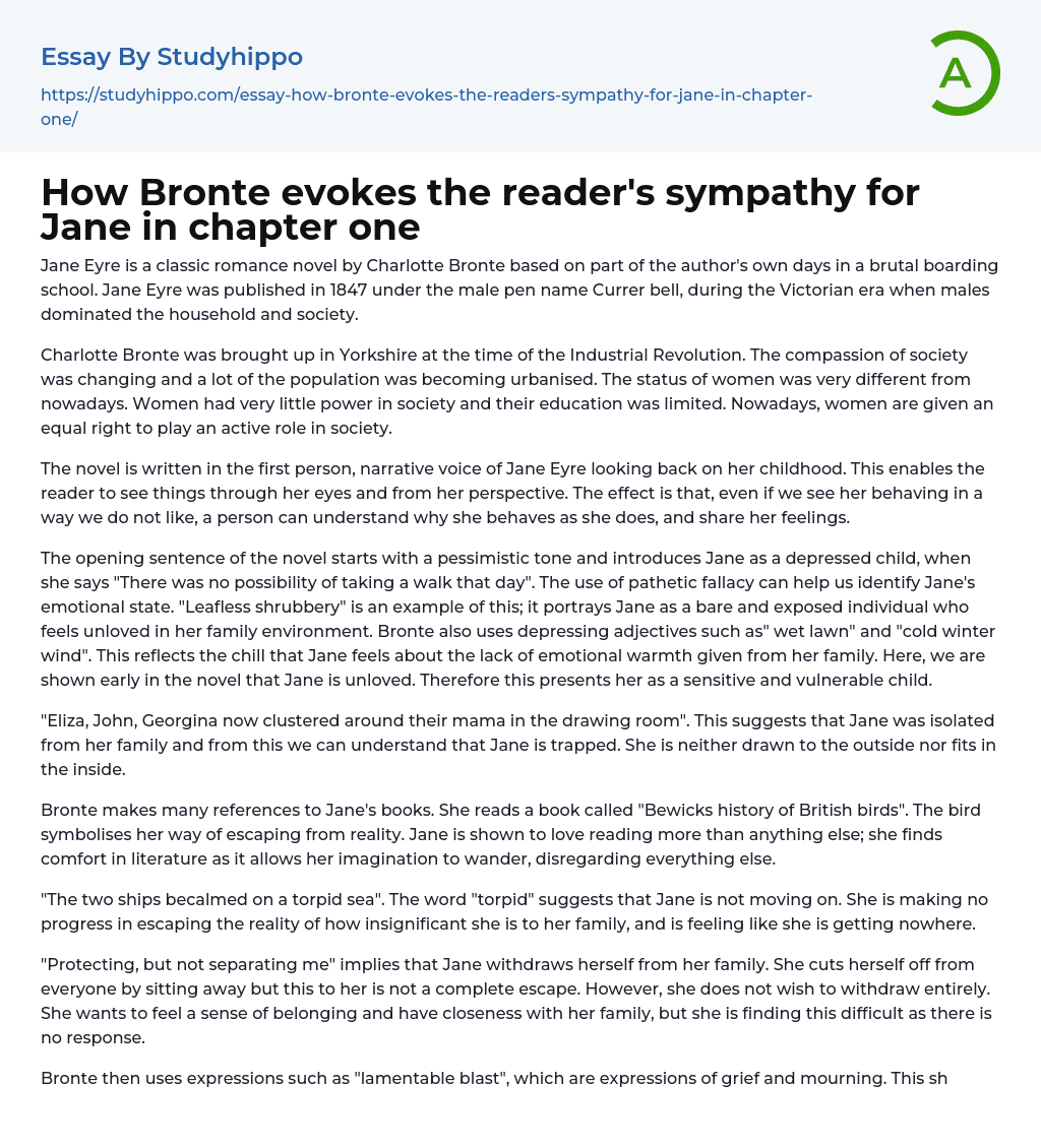 How Bronte evokes the reader’s sympathy for Jane in chapter one Essay Example