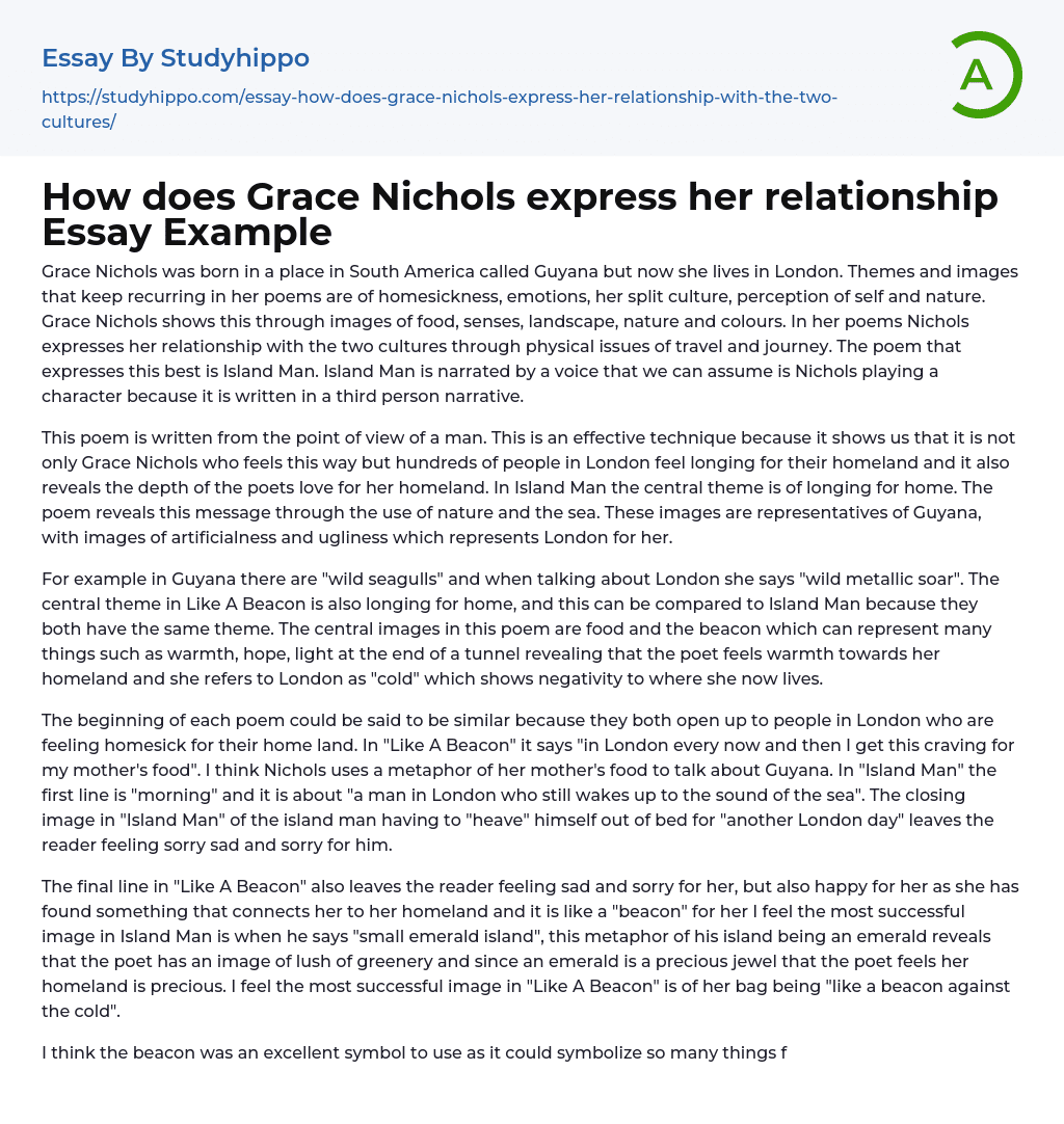 How does Grace Nichols express her relationship Essay Example