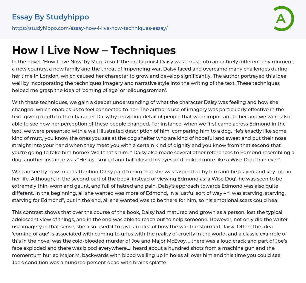 How I Live Now – Techniques Essay Example
