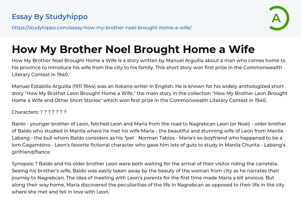 How My Brother Noel Brought Home a Wife Essay Example
