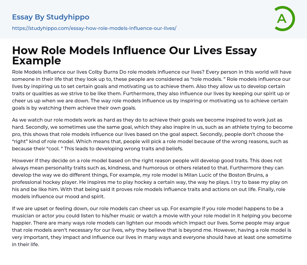 How Role Models Influence Our Lives Essay Example