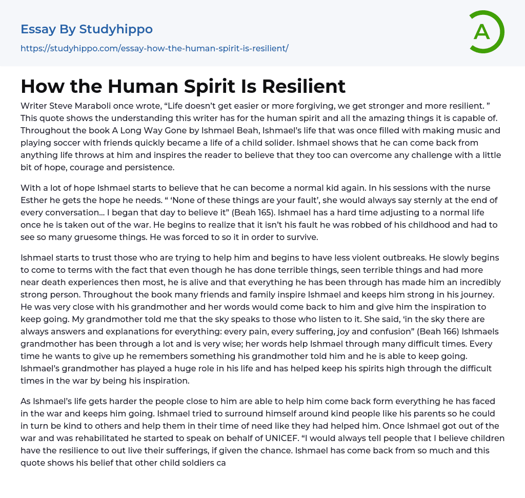 How the Human Spirit Is Resilient Essay Example