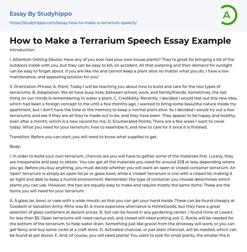 How to Make a Terrarium with Your Own Hands? Essay Example