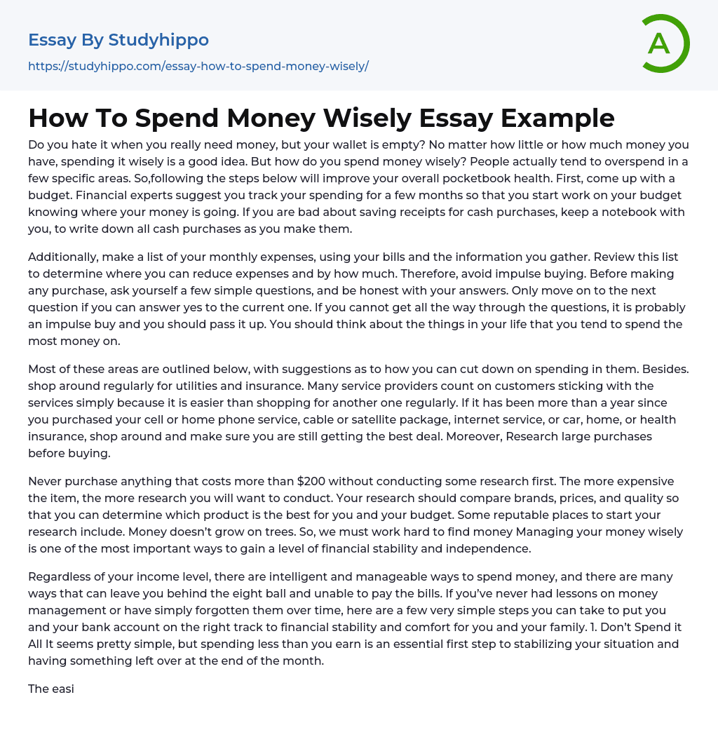 How To Spend Money Wisely Essay Example StudyHippo