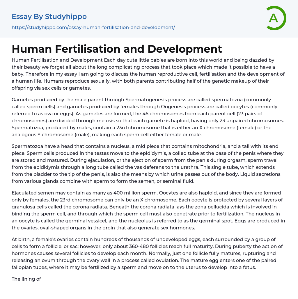 Human Fertilisation and Development Essay Example