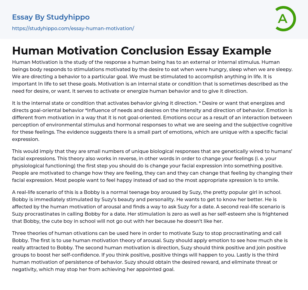 Human Motivation Conclusion Essay Example