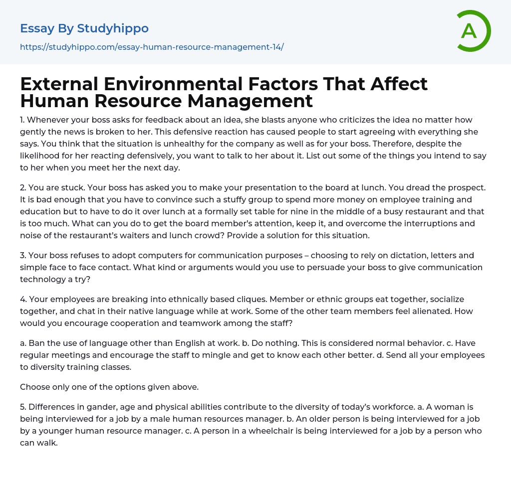External Environmental Factors That Affect Human Resource Management Essay Example