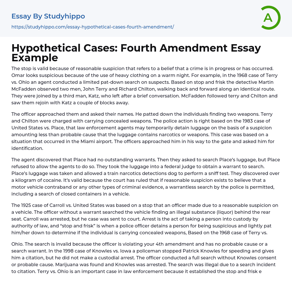 Hypothetical Cases: Fourth Amendment Essay Example