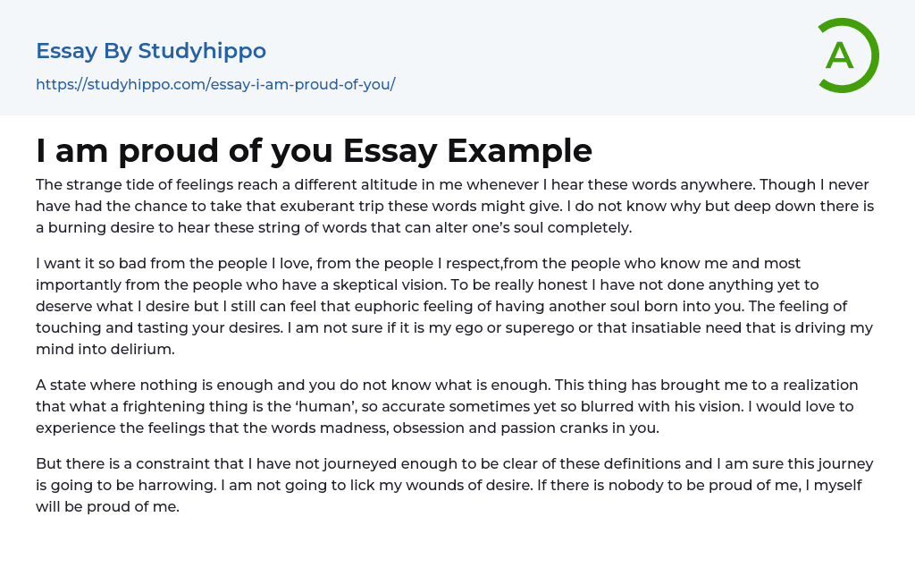 I am proud of you Essay Example