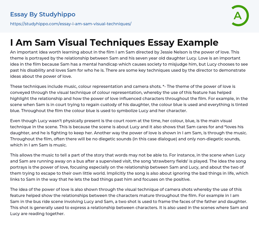 I Am Sam Visual Techniques Essay Example