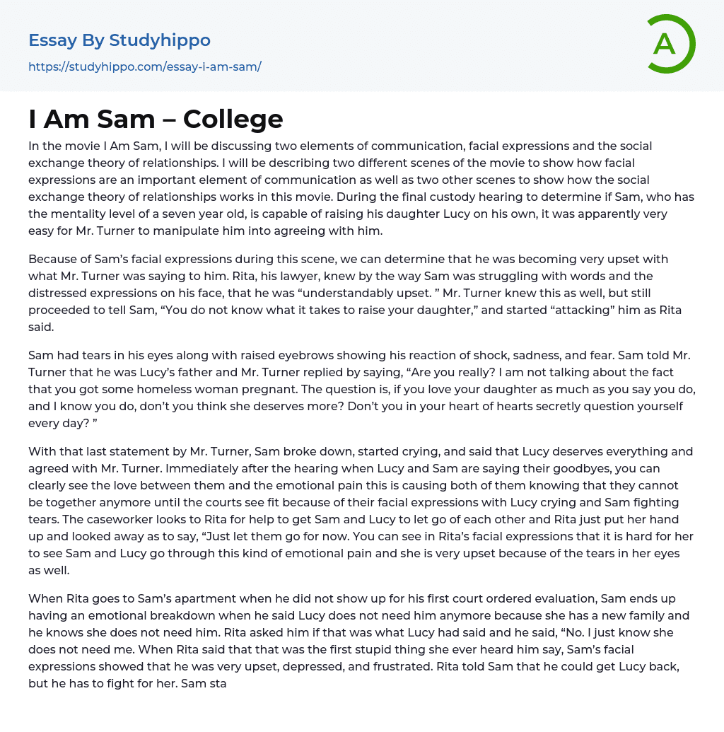 I Am Sam – College Essay Example