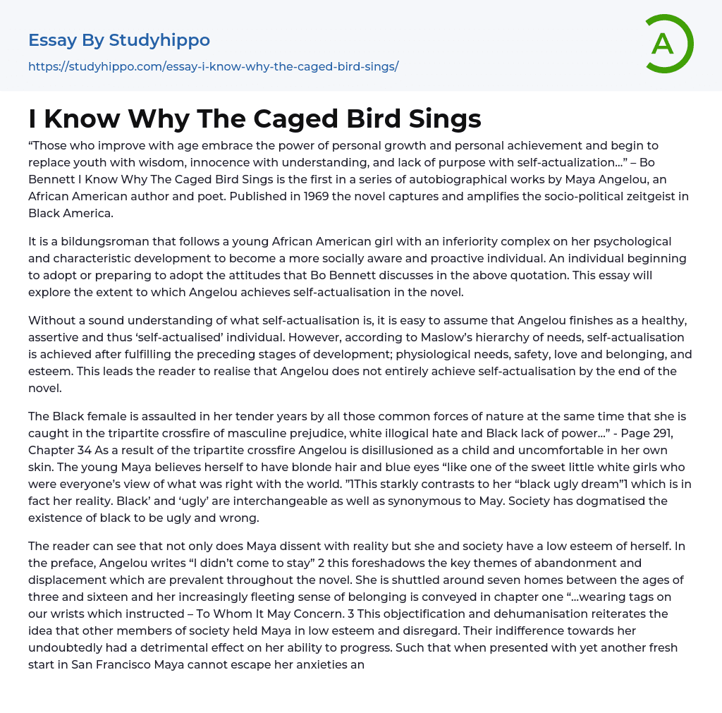 I Know Why The Caged Bird Sings Essay Example