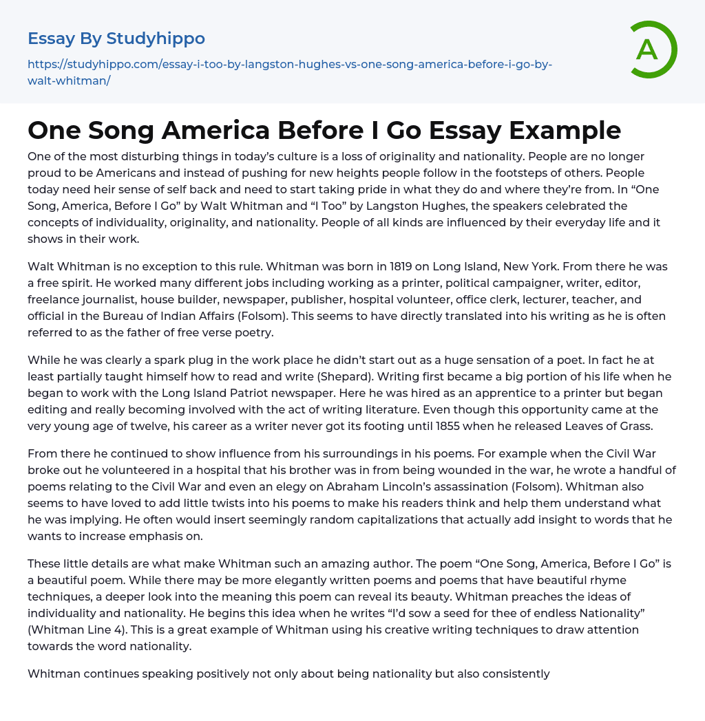 One Song America Before I Go Essay Example