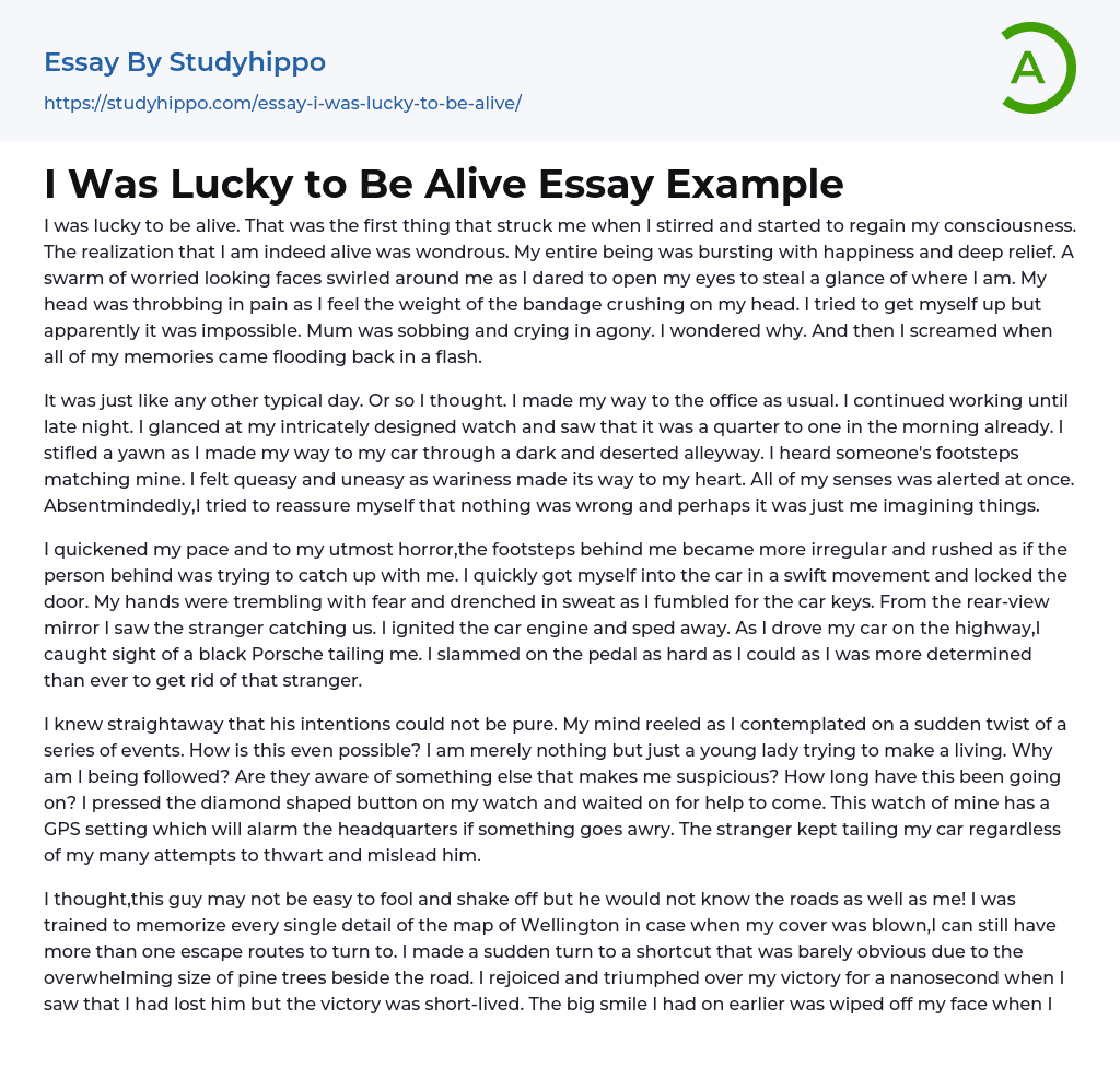I Was Lucky to Be Alive Essay Example