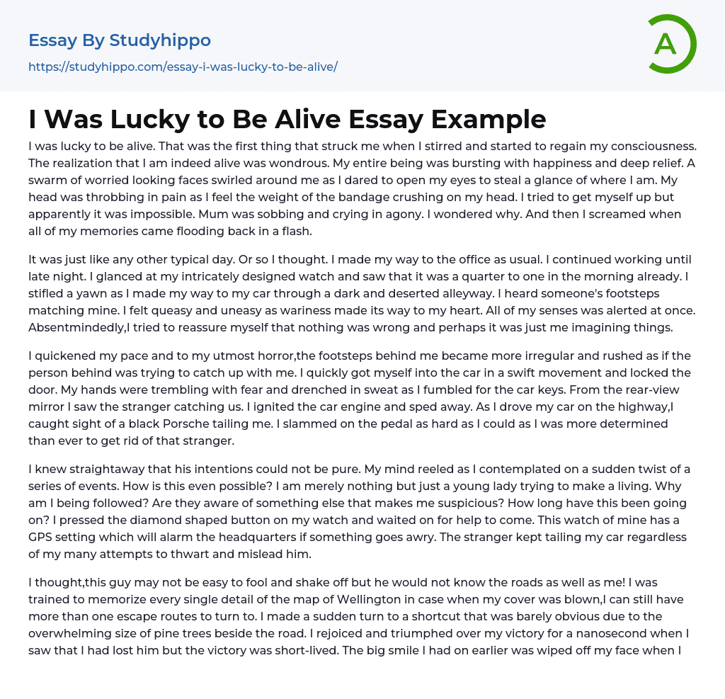 I Was Lucky To Be Alive Essay Example StudyHippo