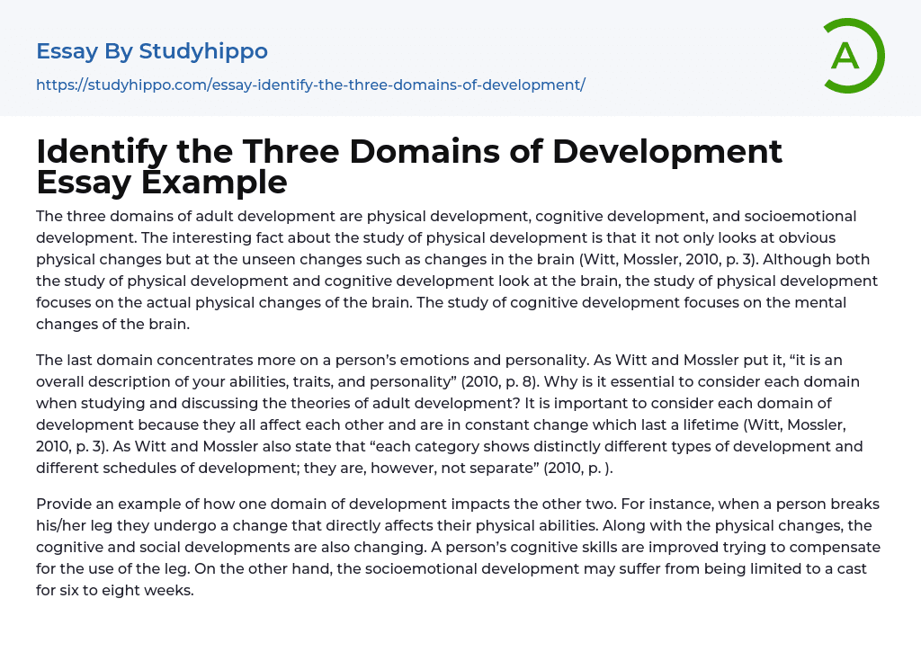 Identify the Three Domains of Development Essay Example